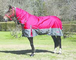 zilco crusader combo horse covers