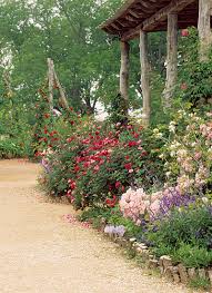 landscaping with antique roses