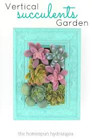 diy vertical succulents garden craft