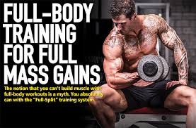 full body training for full m gains