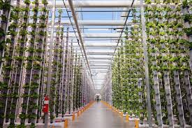 Vertical Farming Everything You Need