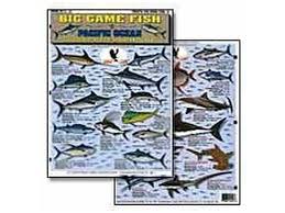 Big Game Fish Pacific Ocean Identification Chart California Mexico Hawaiian Islands Pacific Game Fish 2
