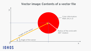 what is a vector image ionos