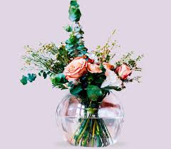 However, you do not want to go into this process oblivious to the. Flower Delivery Uk Plants Delivered Uk Flowers Plants