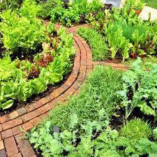 How To Design A Beautiful Edible Garden