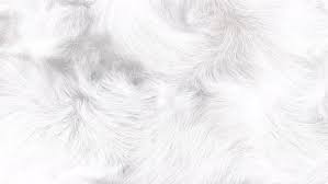 white fluffy fur background 4k motion