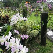 10 most por flower gardens in bali