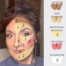 where to put makeup on face