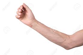 男性の腕の静脈との写真素材・画像素材 Image 55423018