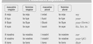 Italian Possessive Pronouns Linguaworld In
