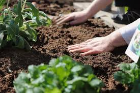 bulk garden soil la landscape supply