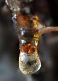 Image result for What Is Meant By Resin ?