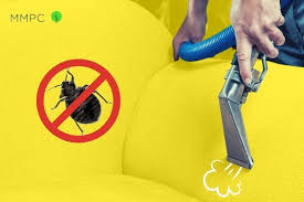 Can Steam Kill Bed Bugs Yes Here S How