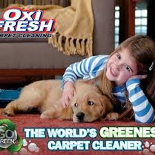 carpet cleaner al in arlington tx