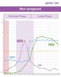 How Basal Body Temperature Works As An Ovulation Calculator