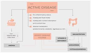 inflammatory bowel disease