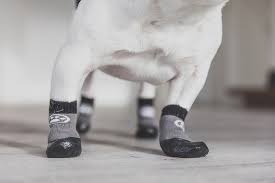 Grippers Non Slip Dog Socks Dog Quality