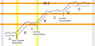 Metabolic Temperature Graph
