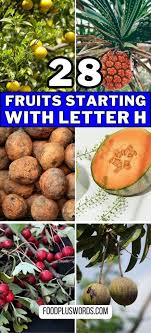 fruits that start with h