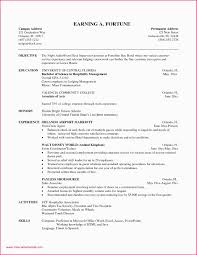 Sample Curriculum Vitae For Hospitality Industry Vice President