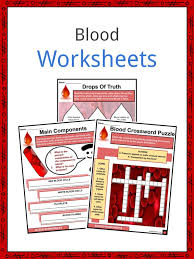blood facts worksheets consutes