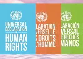 the United Nations gambar png