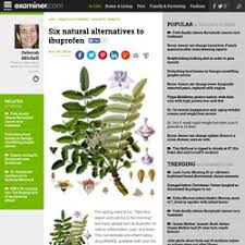Medicinal Herbs Chart Plants Uses Pearltrees