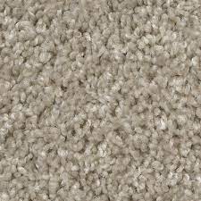 Color Star Indoor Texture Beige Carpet