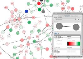 Cytoscape An Open Source Platform For Complex Network