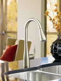 Moen kitchen faucets are the preferred choice of every type of family. Moen 7594srs Arbor Single Handle Pulldown Spray Build Com Pulldown Kitchen Faucets Stainless Steel Kitchen Faucet Kitchen Faucet Design