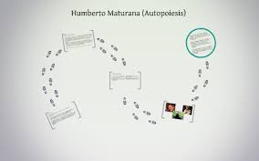 Other articles where autopoiesis is discussed: Humberto Maturana Autopoiesis By Pancha Kimble
