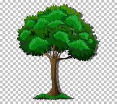 tree png images free on freepik