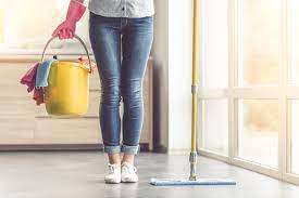 professional cleaning service providers