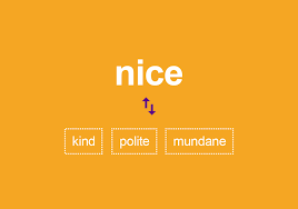 synonyms for nice thesaurus