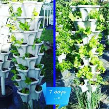 plastic stackable vertical flower plant