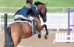 what-does-unaffiliated-show-jumping-mean