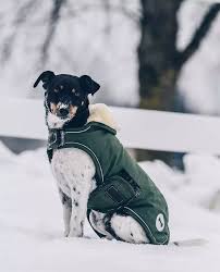 koirantakki waterproof dog coat olive