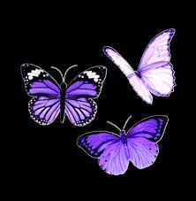 Shop affordable wall art to hang in dorms, bedrooms, offices, or. Purple Aesthetic Butterflies Wallpapers Wallpaper Cave