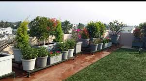 terrace gardening service bangalore