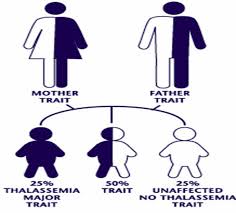 Genetic Inheritance Of Thalassemia Thalassemia Com
