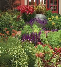 Design A Garden With Bold Colors