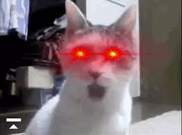 prsi spustite išči cat laser eyes meme
