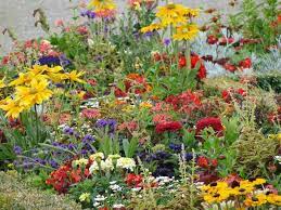 Design Ideas For Your Wildflower Garden