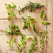 Herb Substitutes Better Homes Gardens