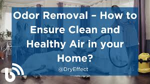 odor removal how to ensure clean and