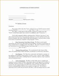 Letter Of Intent For Purchase Of Business Essay Order Online