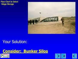 Deciding On A Silage Storage Type Ppt Video Online Download