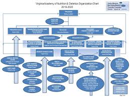 Executive Board Organizational Chart Virginia Academy Of