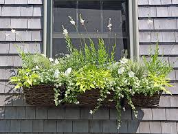 We did not find results for: Container And Window Box Ideas Hyannis Country Garden