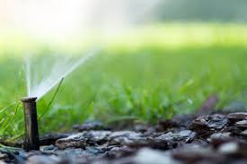 While your sprinkler sprays your lawn, it will target your plant beds. Drip Irrigation Vs A Standard Sprinkler System Above Beyond Cgm
